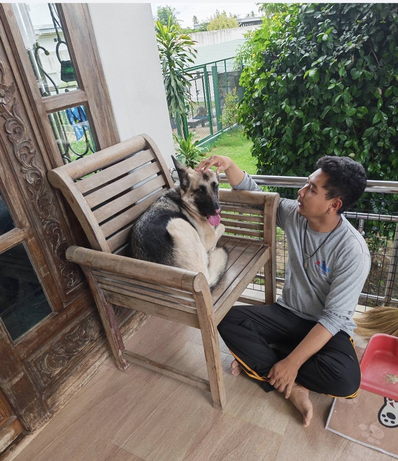 Calm individual dog care in the green outdoor area