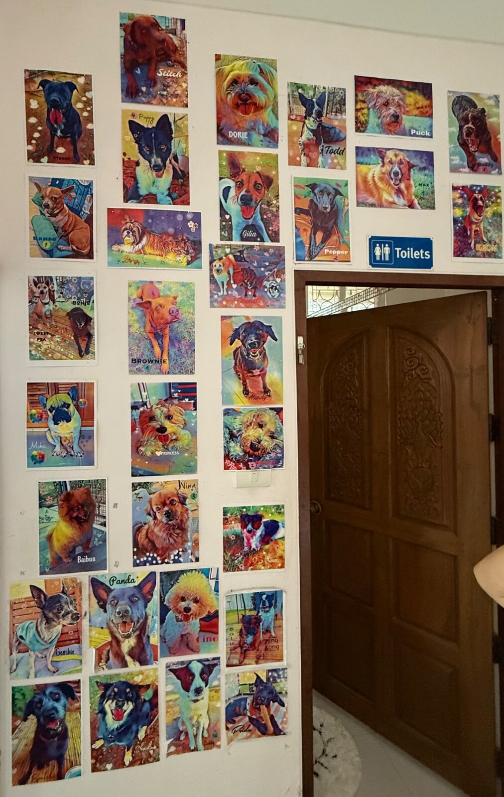 The colorful guest photo wall celebrating many beloved dog visitors