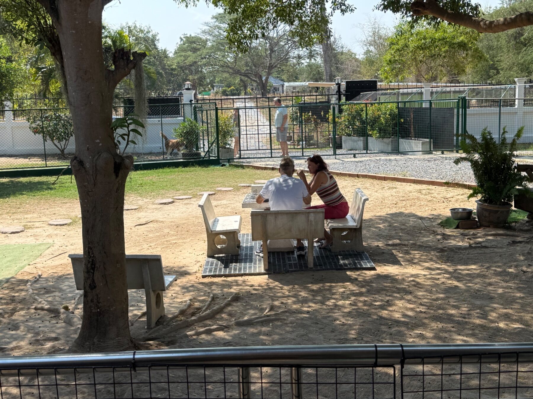Guests visiting the peaceful garden area