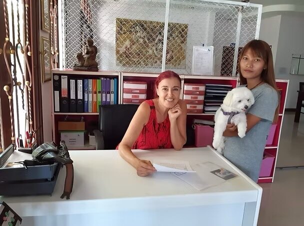 A warm welcome and personal attention for a small white dog guest