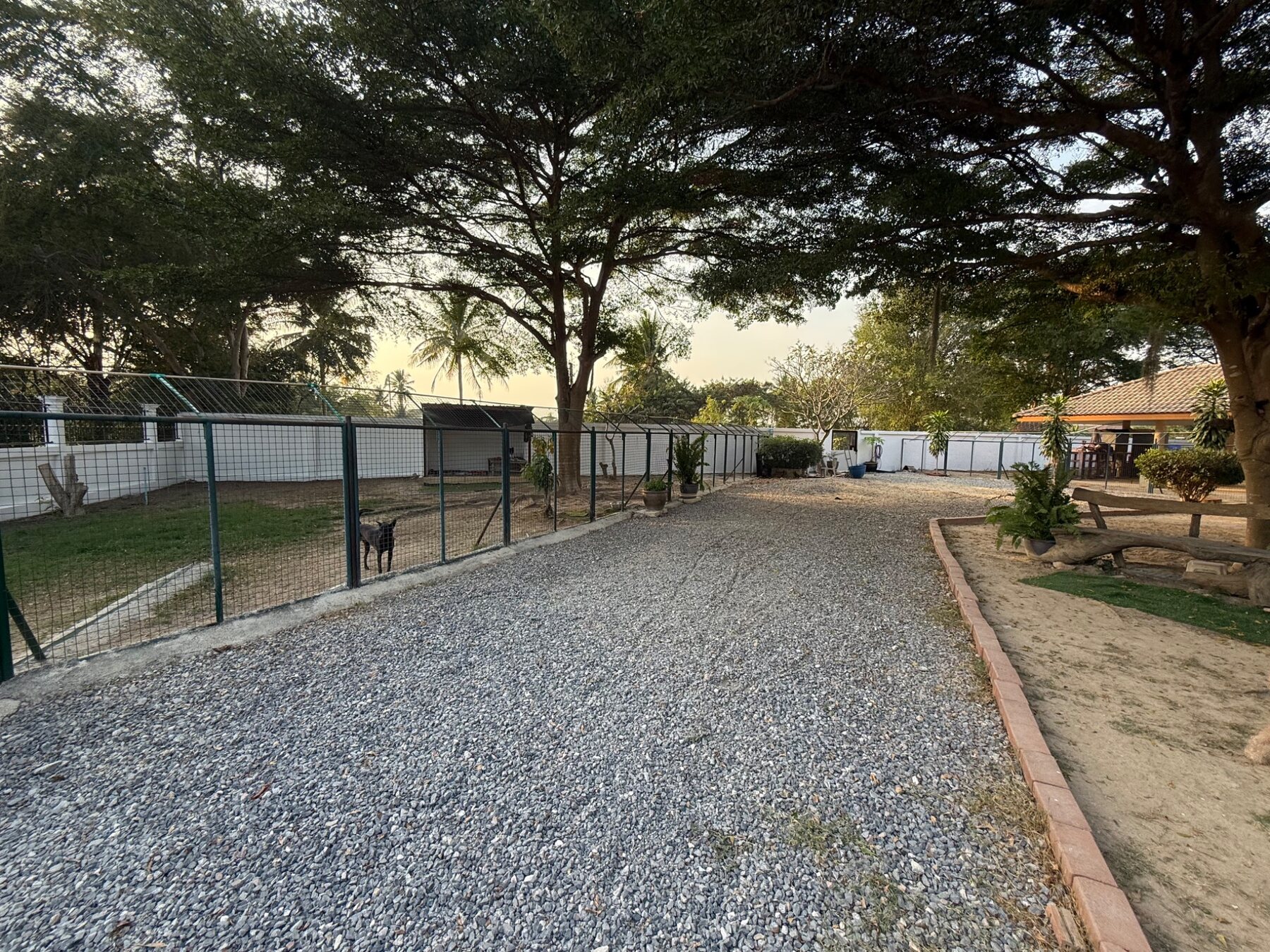 Large shaded grounds and secure dog runs