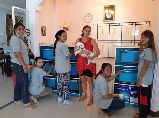 Our caring team preparing comfortable indoor pet accommodation